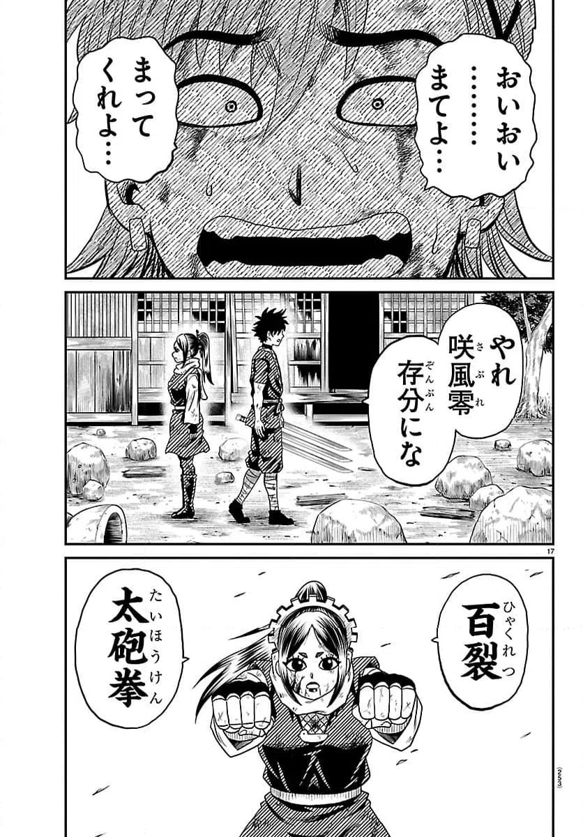 Page 17